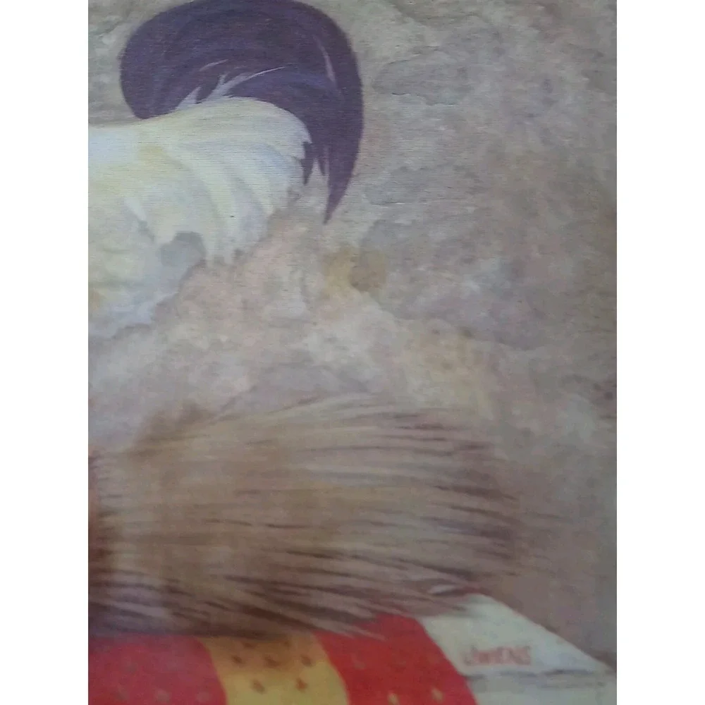 Lot Of 2 Vintage‎ Rooster Placemats Country Hen Farmhouse Table Decor Placemats